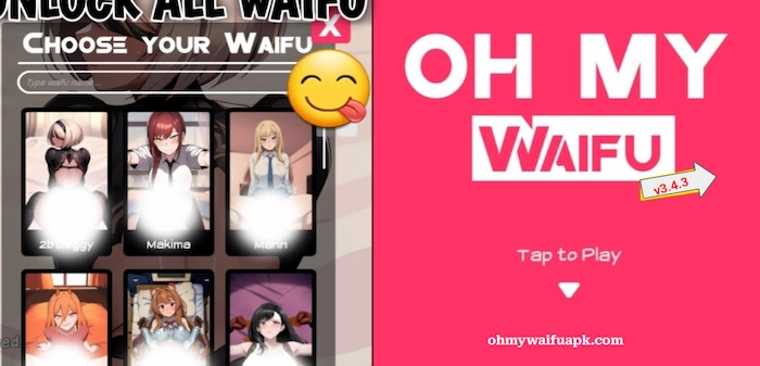 OH MY WAIFU APK